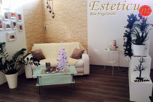 salon1