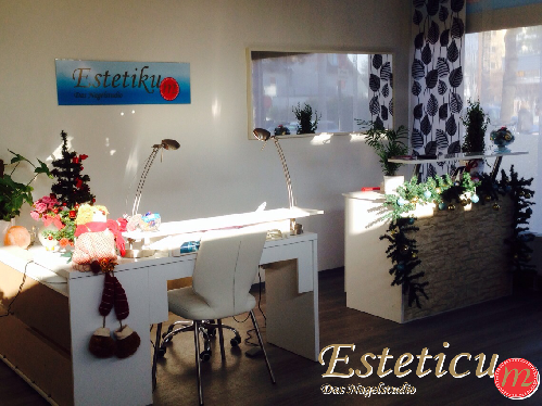 salon2
